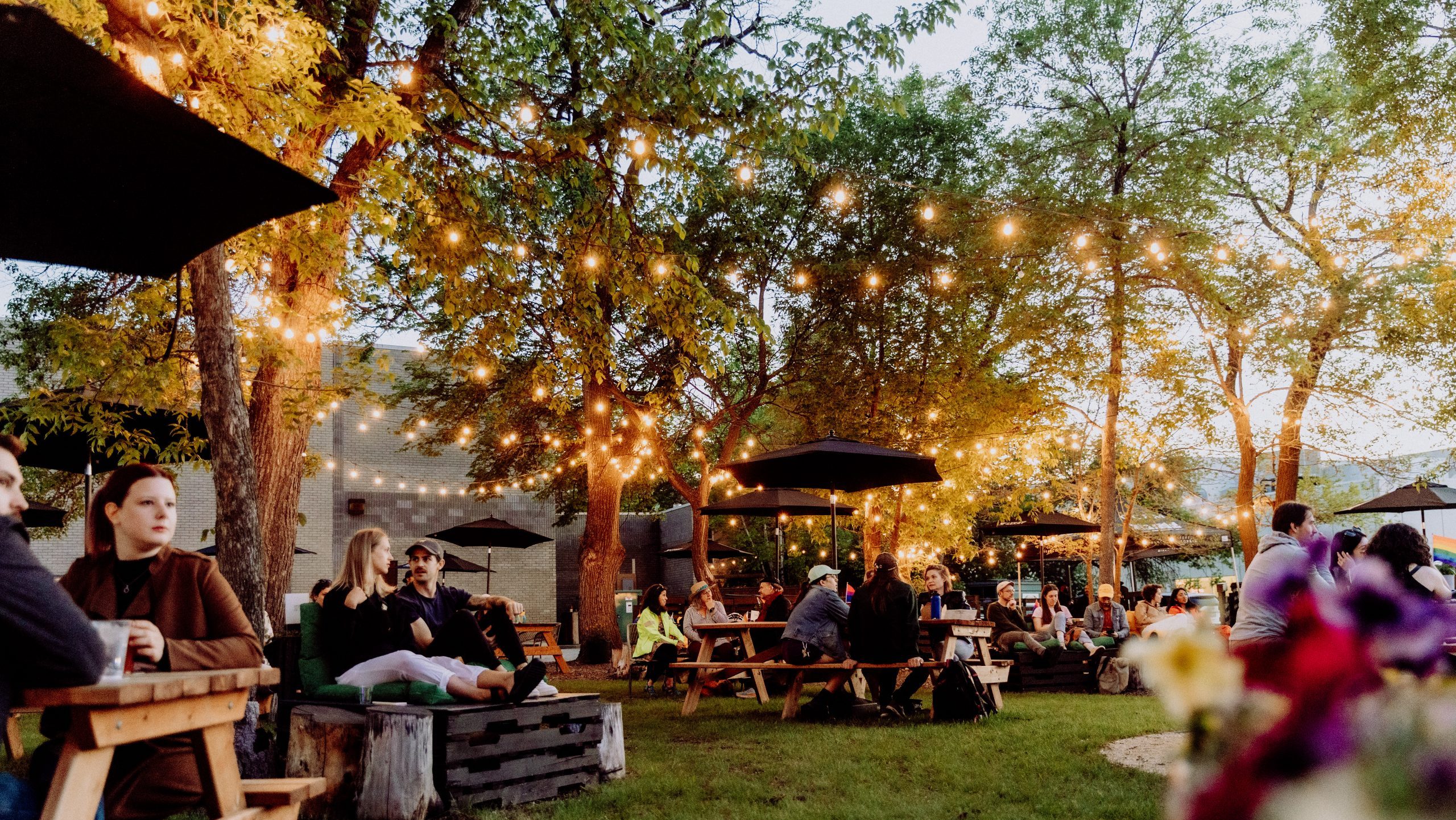 Patio Été 2024